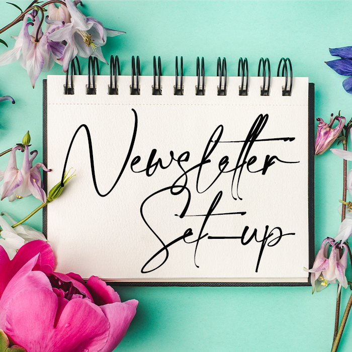 Newsletter Setup