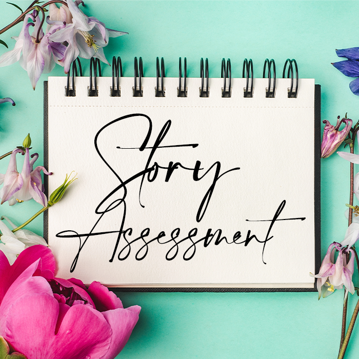 Story Assessment